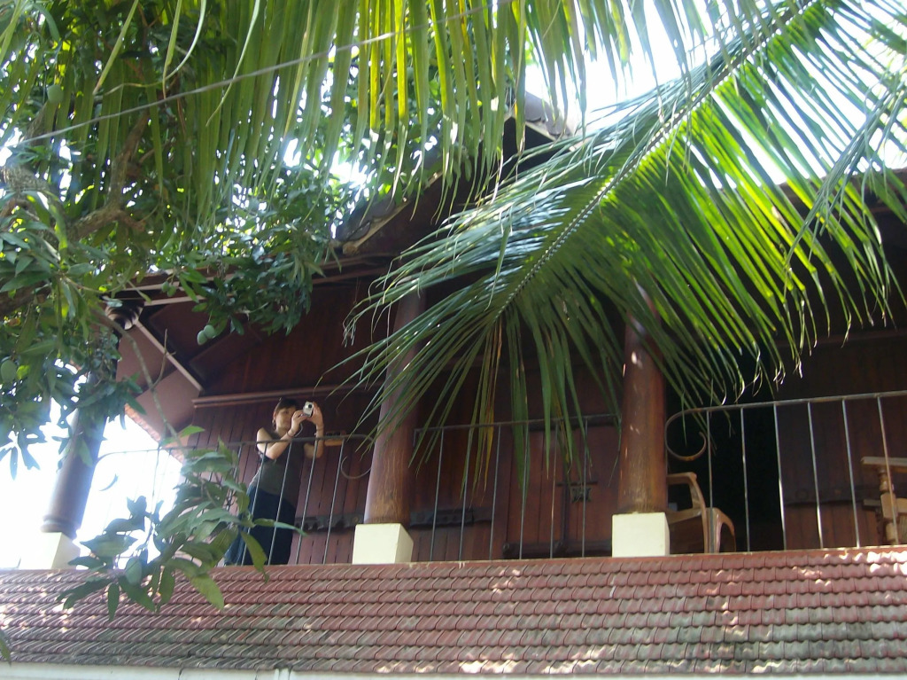 Adams Wood House Ayurveda Homestay Retreat Kochi