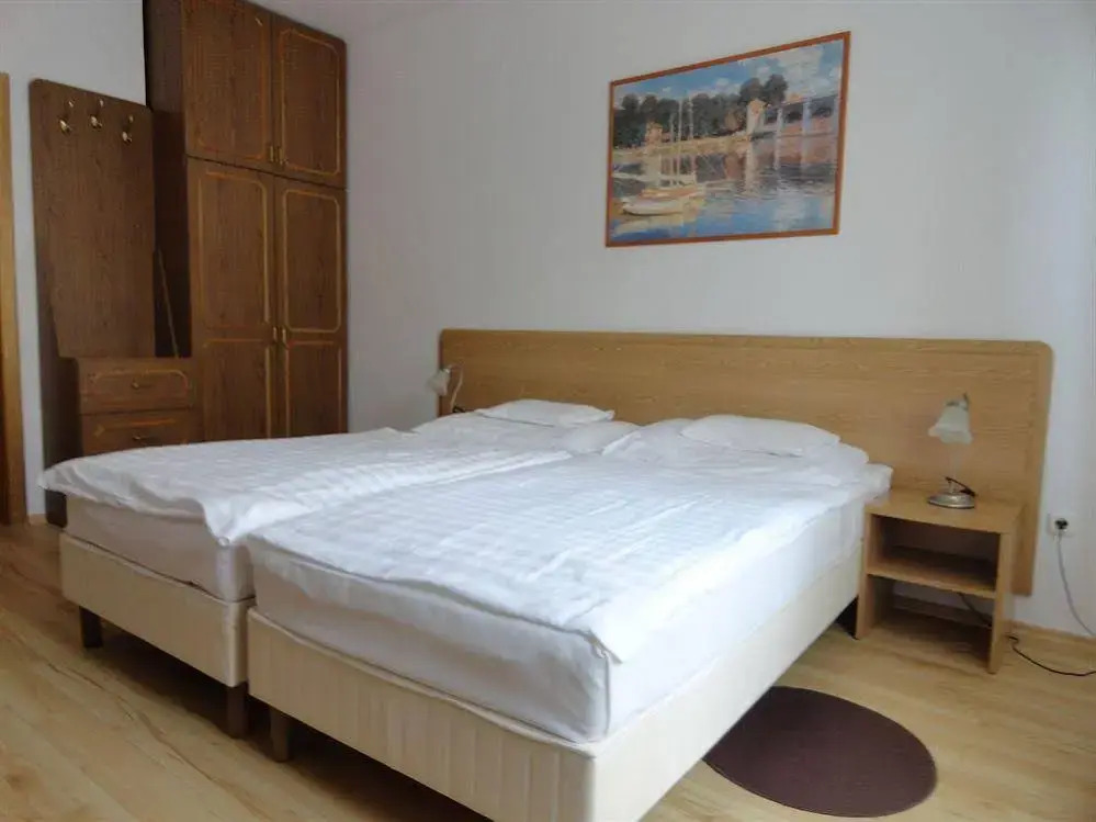 Hotel Mátrix