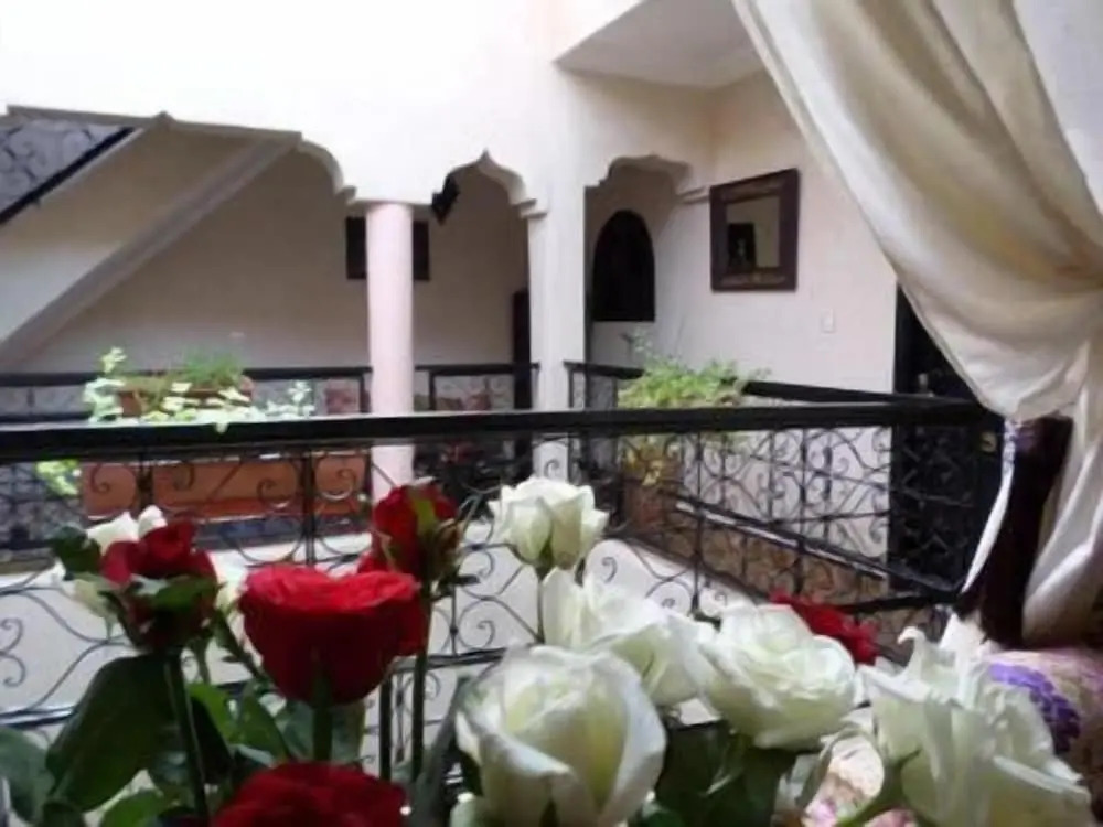 Riad Zinnha