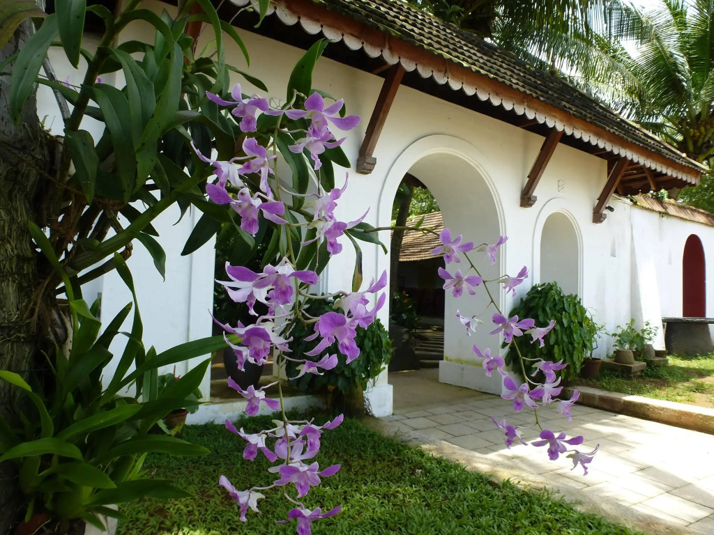 Hotel Fort House