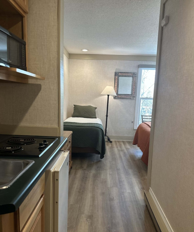 Mountainside Inn 421 by Alpine Lodging Telluride