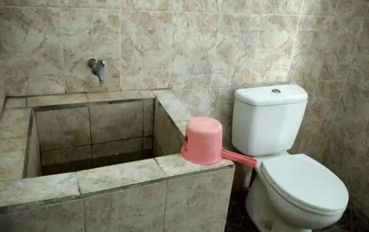 Hotel Kiwi