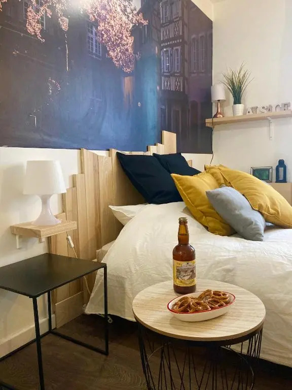 * Le Garden * Studio * Centre-ville Mulhouse