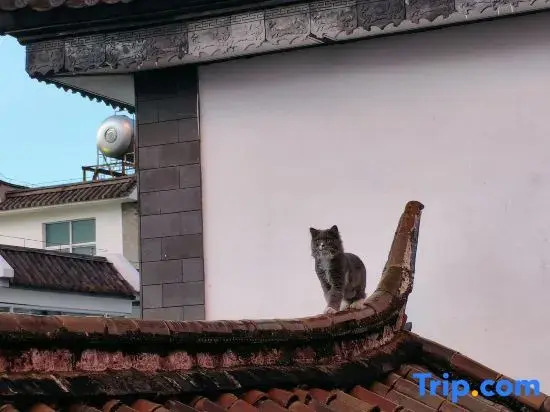 Weifeng     Homestay