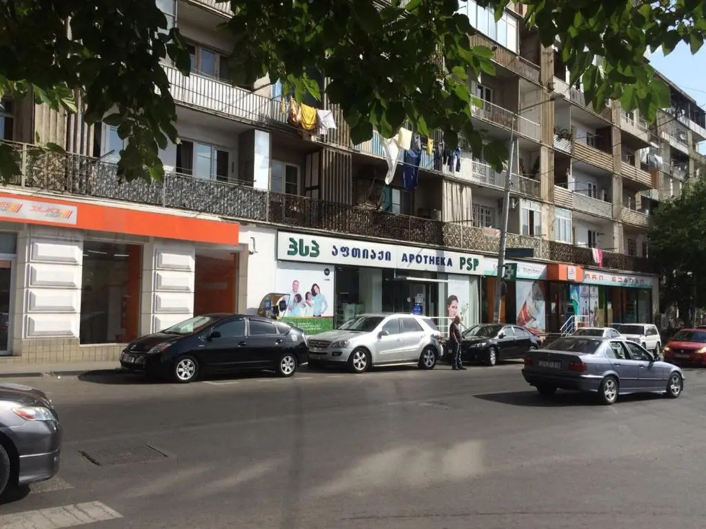 221 Shalva Nutsubidze Street
