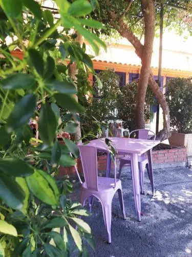 Las Palmeras