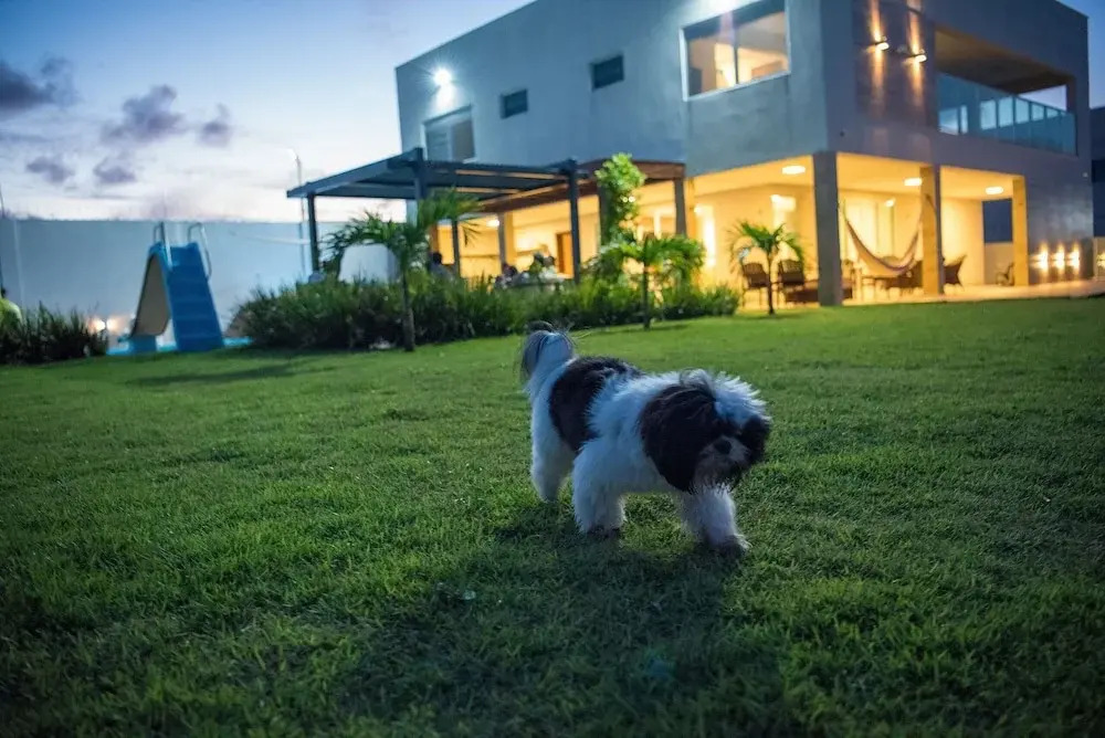 Casa Espetacular na Praia de Graçandu by Carpediem