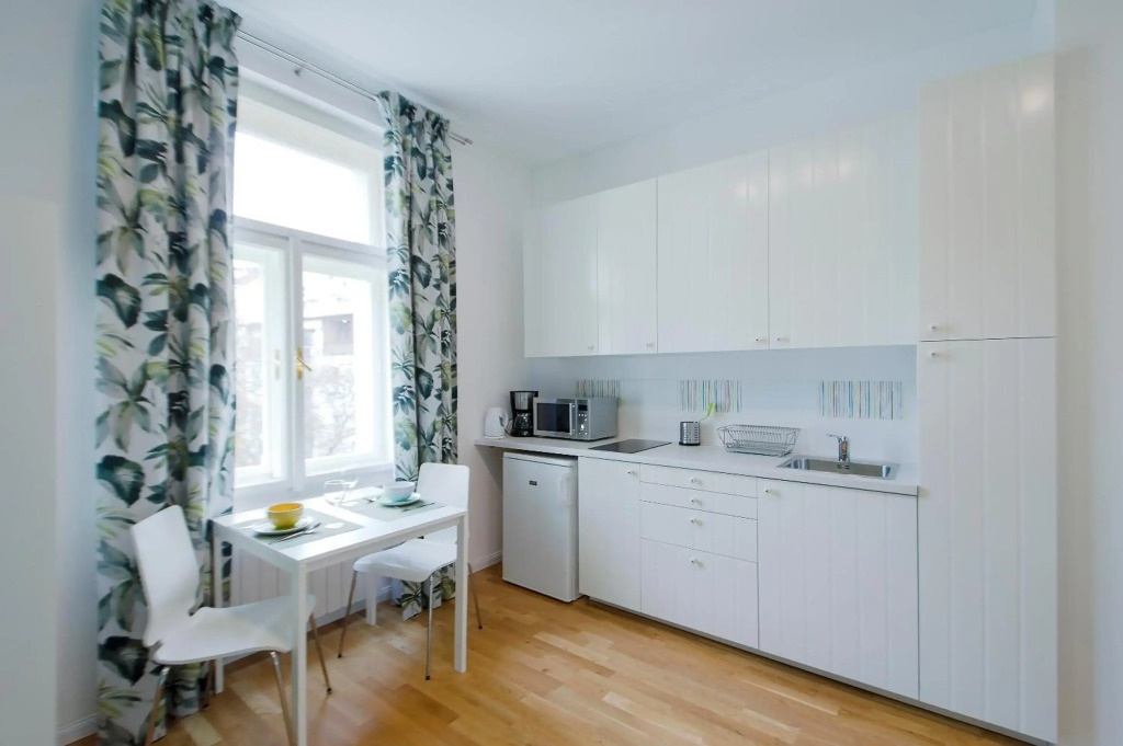 Modern apartment Spanelska