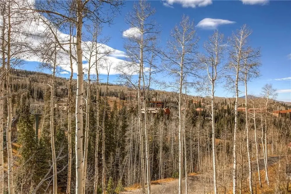 Aspen Ridge 5