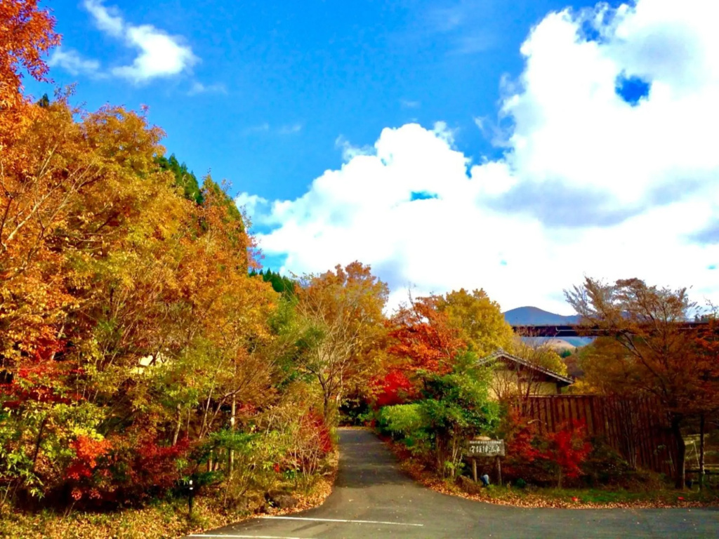 Shugojin Onsen