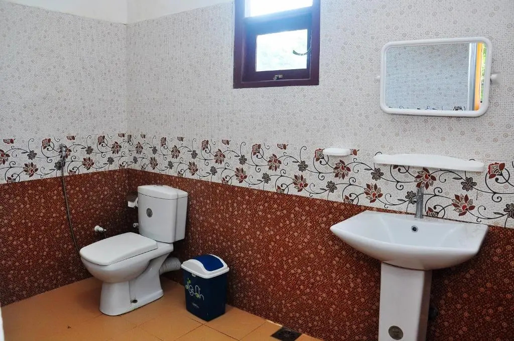 Little Swan Guest house