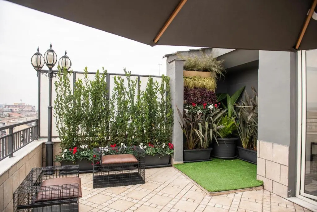D'amelio'S suites