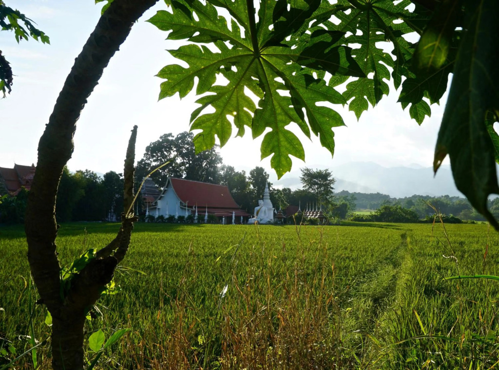 Blue Sky Resort Pai