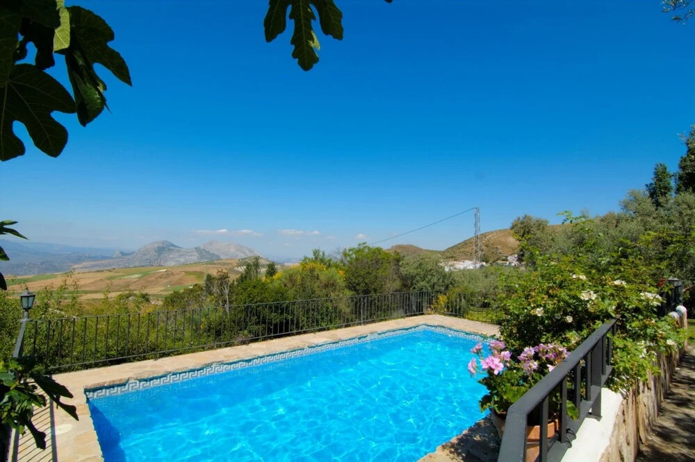 Casa Olivos