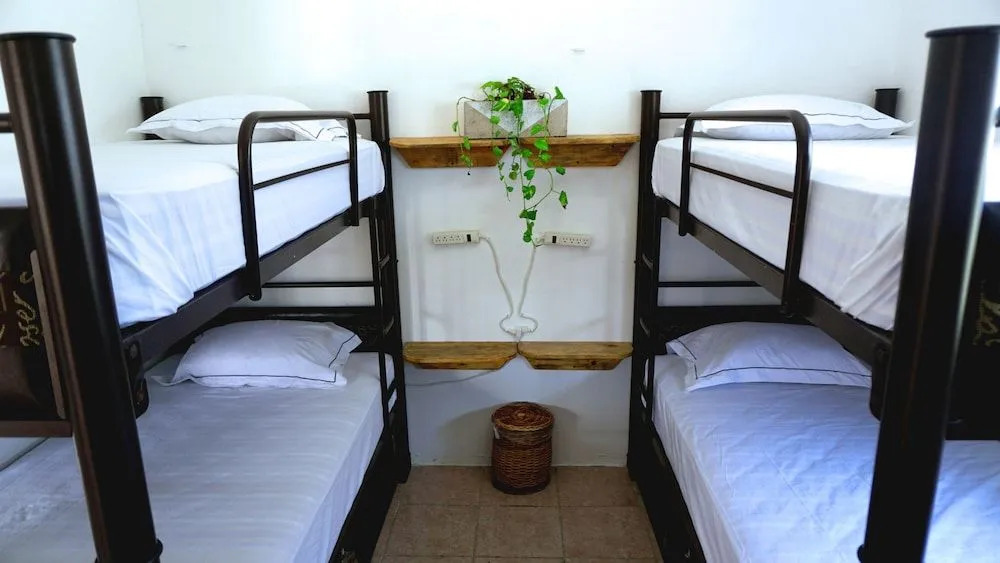 Coelum - Hostel