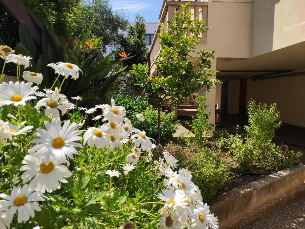 ES GANXO HOUSE PORTO CRISTO