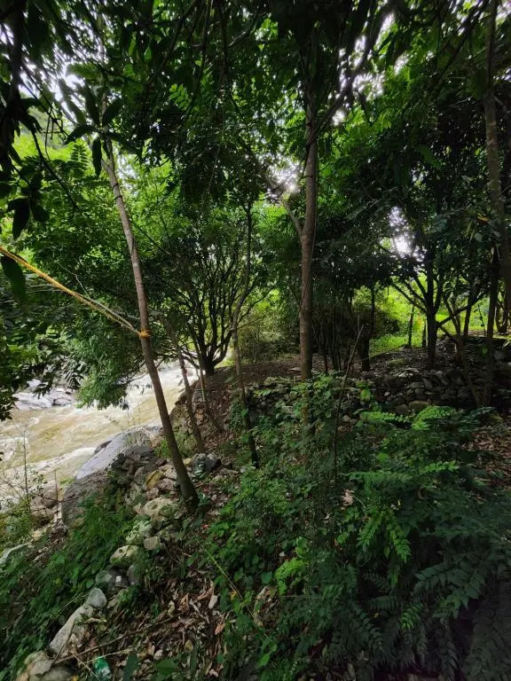 Hobo Rivercamp