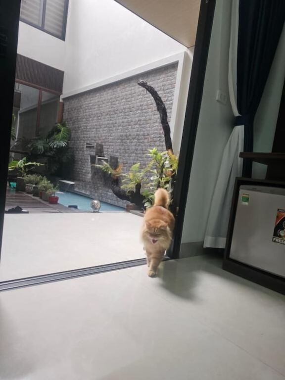 The Dangs Home in Lao Cai