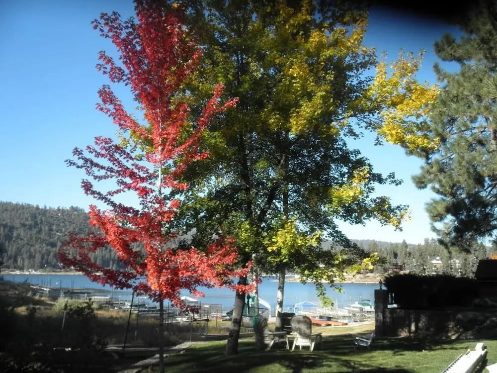 Lakefront Spectacular-800 by Big Bear Vacations