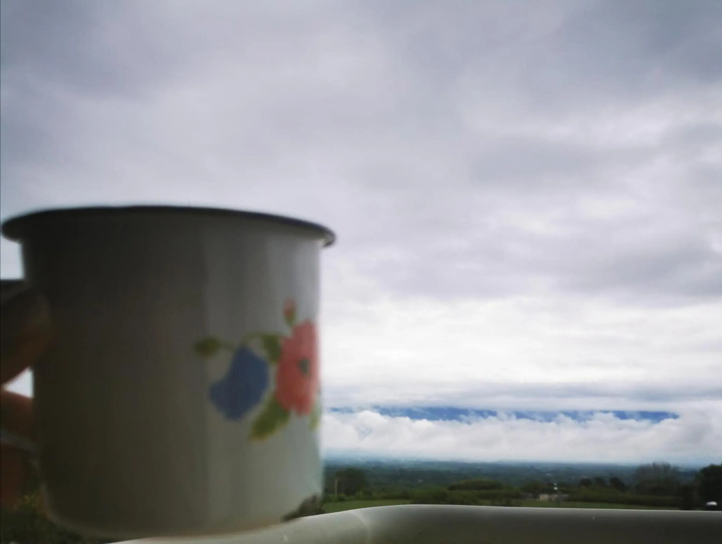 Guaduales del café 511 A en montenegro