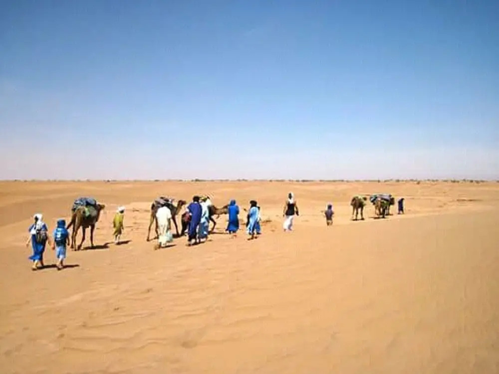 Bivouac culturel