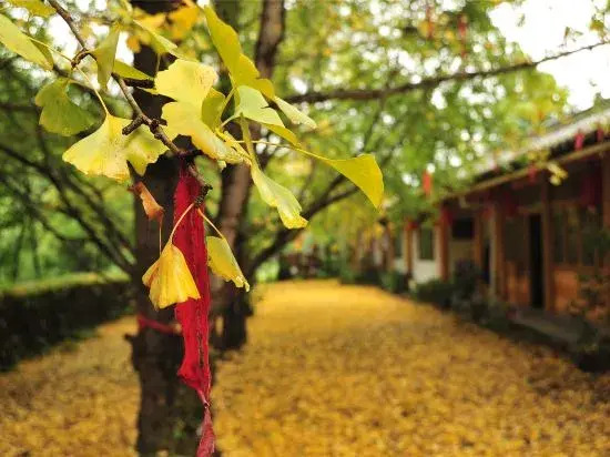 Qiudieyuan Inn