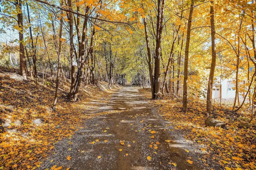 Cozy Apt by ITS 85 Trail, ½ Mi to Lake Wassookeag!