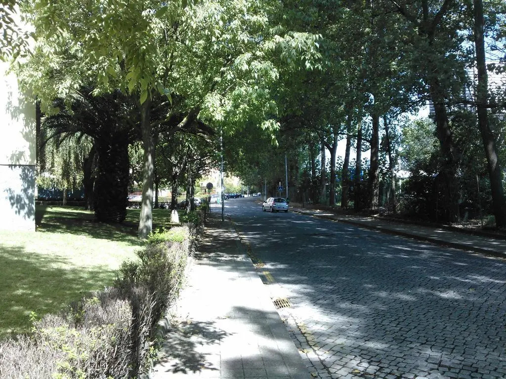 Oporto T3 Prelada