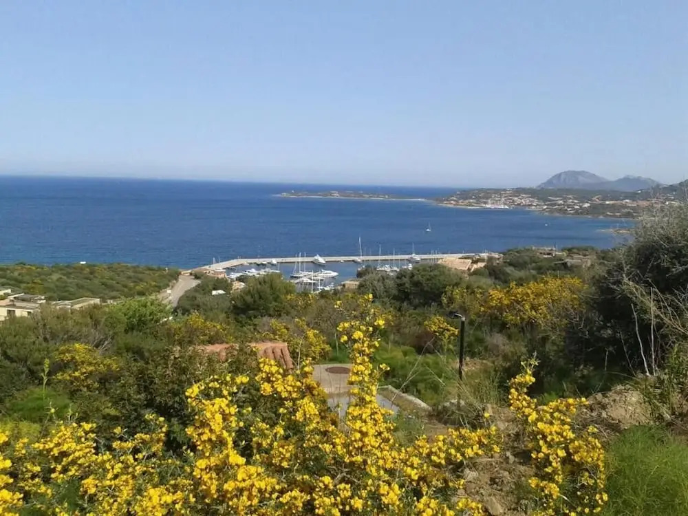 Domus Corallia-Luxury Rooms