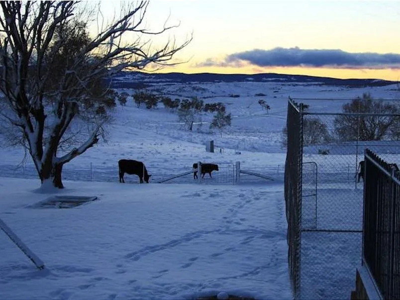 San Michele Adaminaby