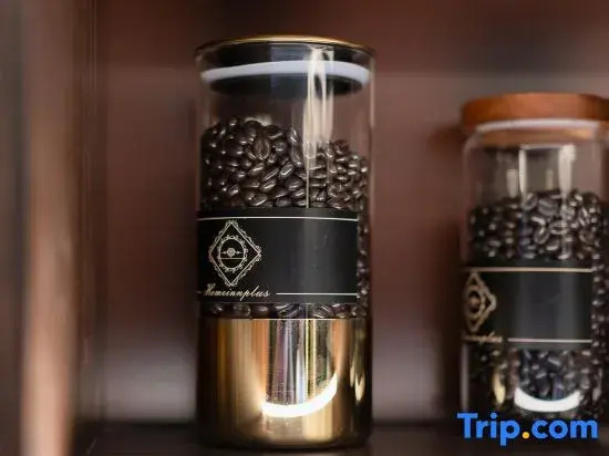 Homeinn Plus Hotel (Huangshan North High Speed Railway Station Xi Xi Nan Ancient Villages)
