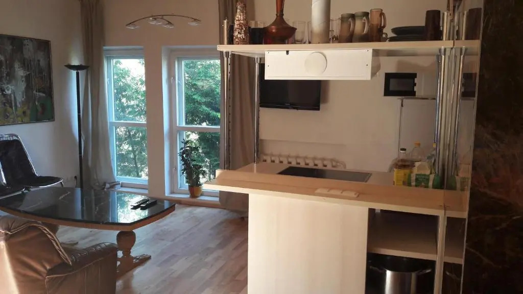 Vilnius Luxury Apartment 2
