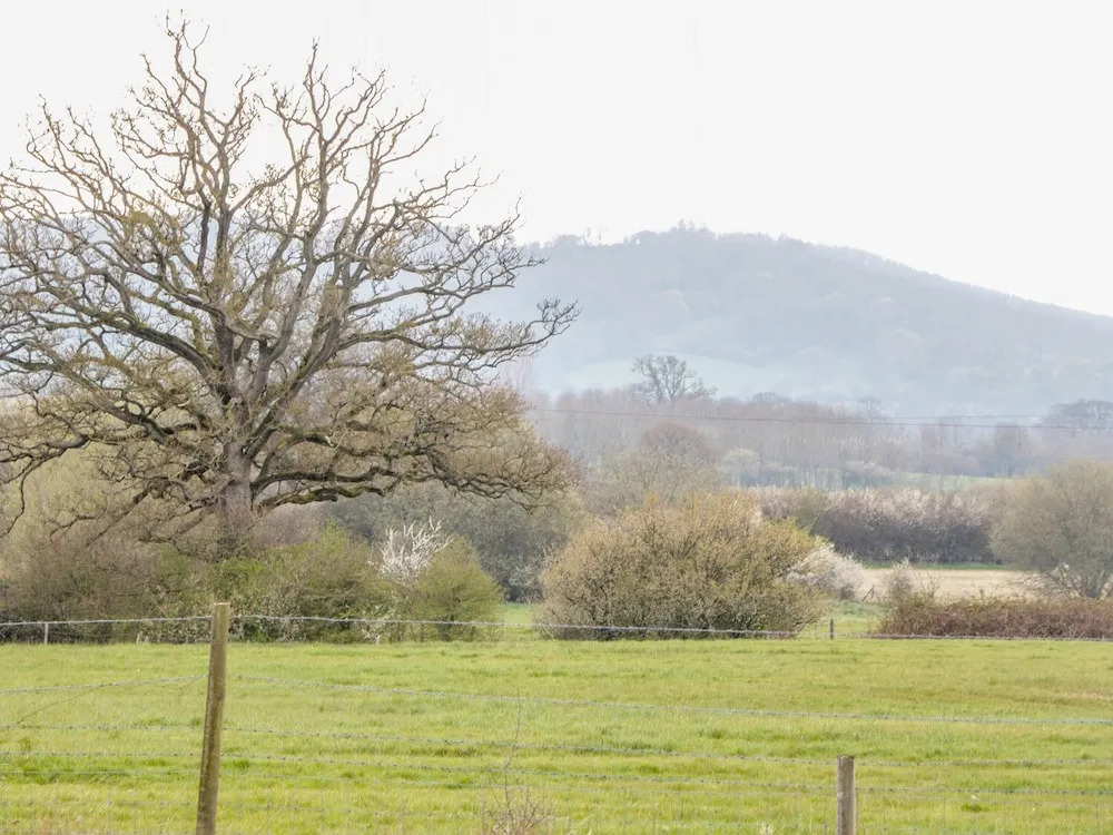 Motcombe Nursery