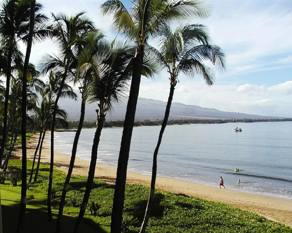 Central Maui Hostel