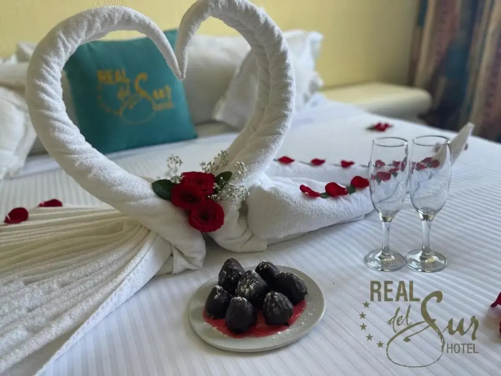 Hotel Real del Sur