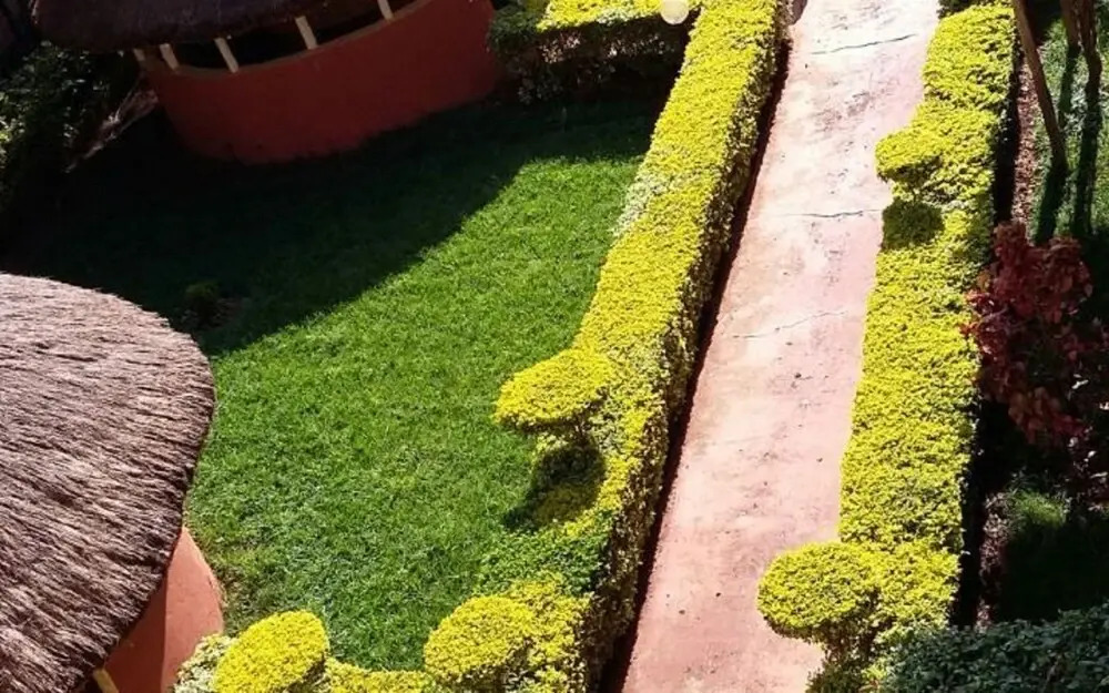 Malava K Hotel
