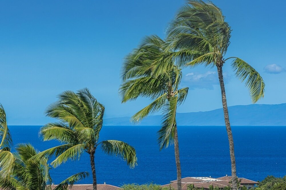 Wailea Ekolu 408 1 Bedroom Condo