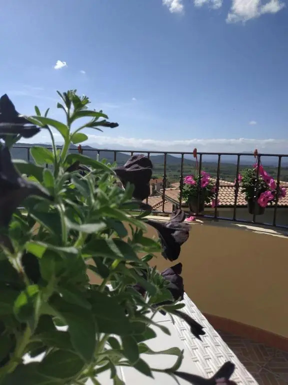 B&B Ottoulivi