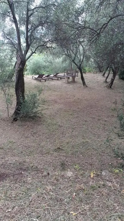 Casa Conte Picedi