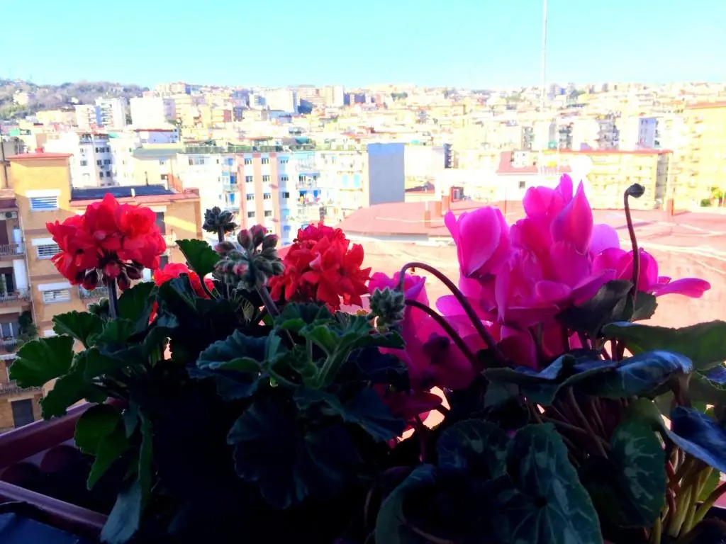 Suite Delicia Apartment - Appartamento con Terrazza