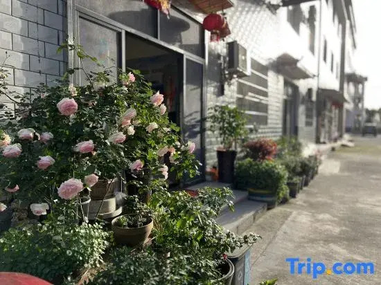 Zhihan Homestay