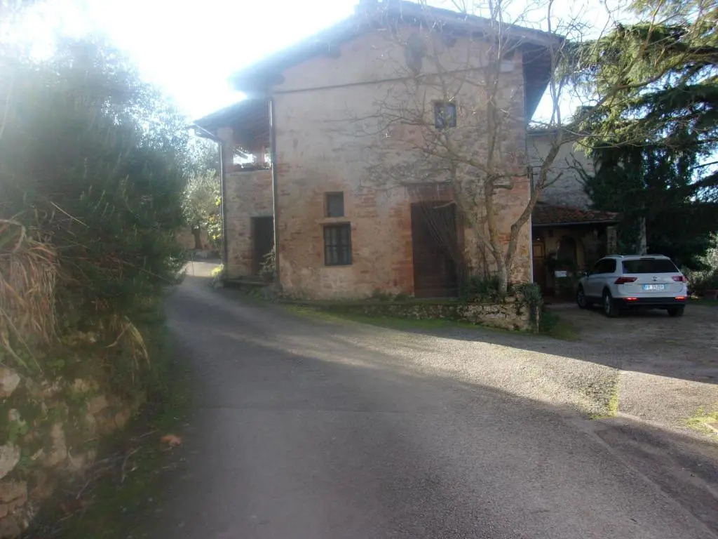 Podere Sammonti
