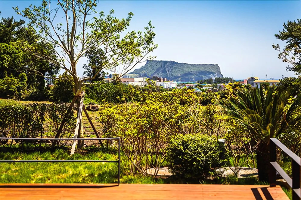 Seogwipo Hae-dam Pension