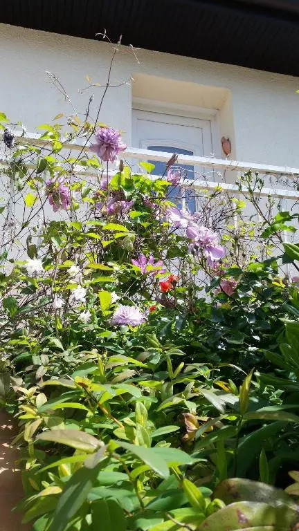 Chambre Avec Jardin Pierre Curie