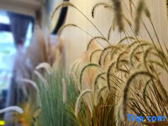 Oriental Charm Hotel (Gutian Site Tourist Center Branch)