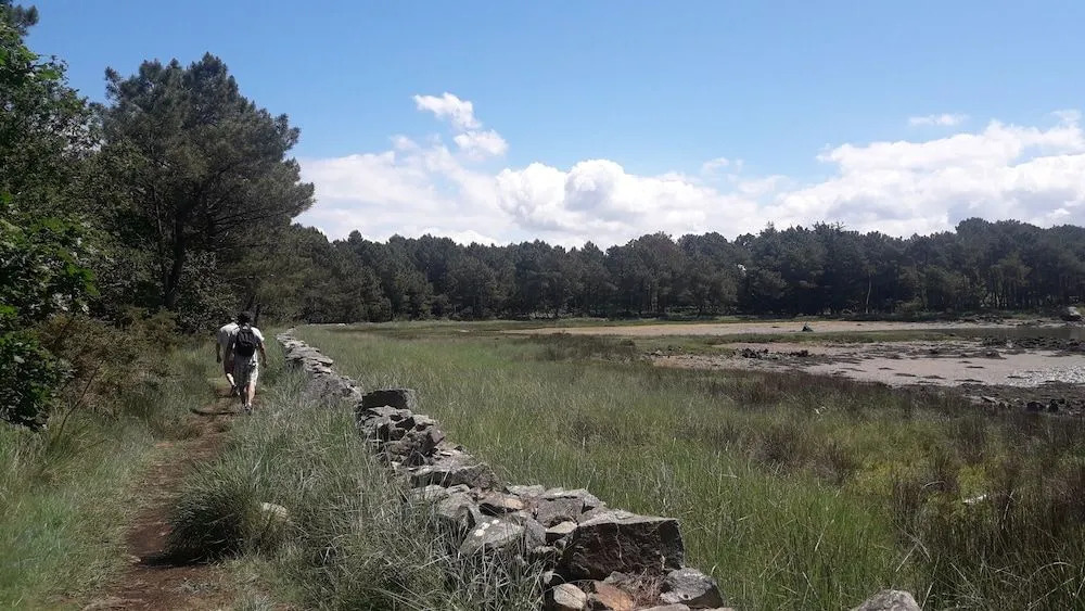 Back To Breizh