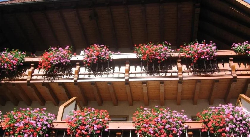Hotel Gasthaus Zum Hirschen