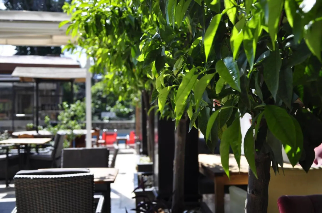 Kosa boutique hotel