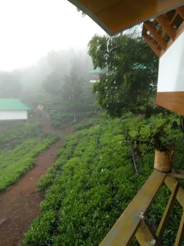 Vythirihills Nature Resort