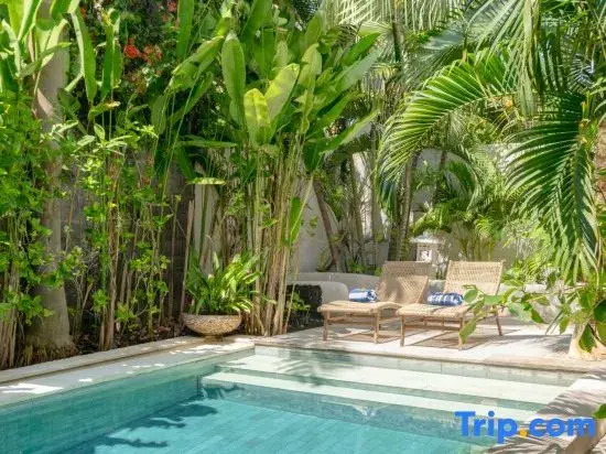 Ocean Luxury Villas - Seminyak